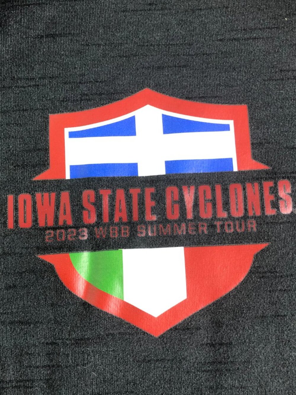 Nike Yoga University of Iowa State Cyclones Hoodie Mens XL Gray Full Zip - Picture 2 of 12